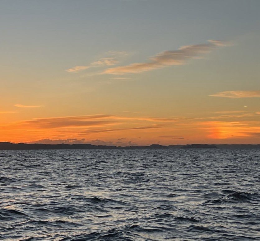 リポビタンフィール 100mL/大正製薬/栄養ドリンクを使ったクチコミ（1枚目）