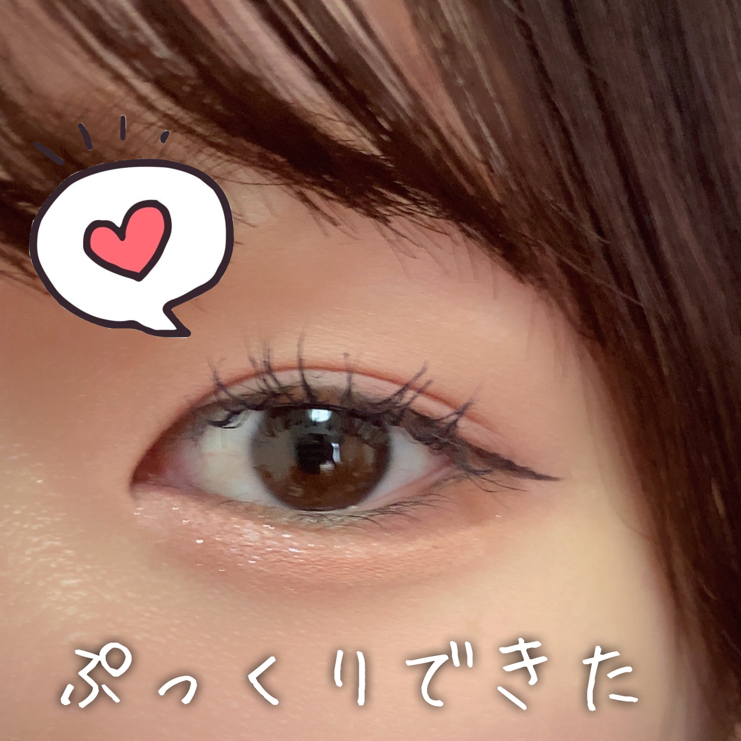 ライトオンアイズシャドウパレット/ルミル/アイシャドウパレットを使ったクチコミ（1枚目）