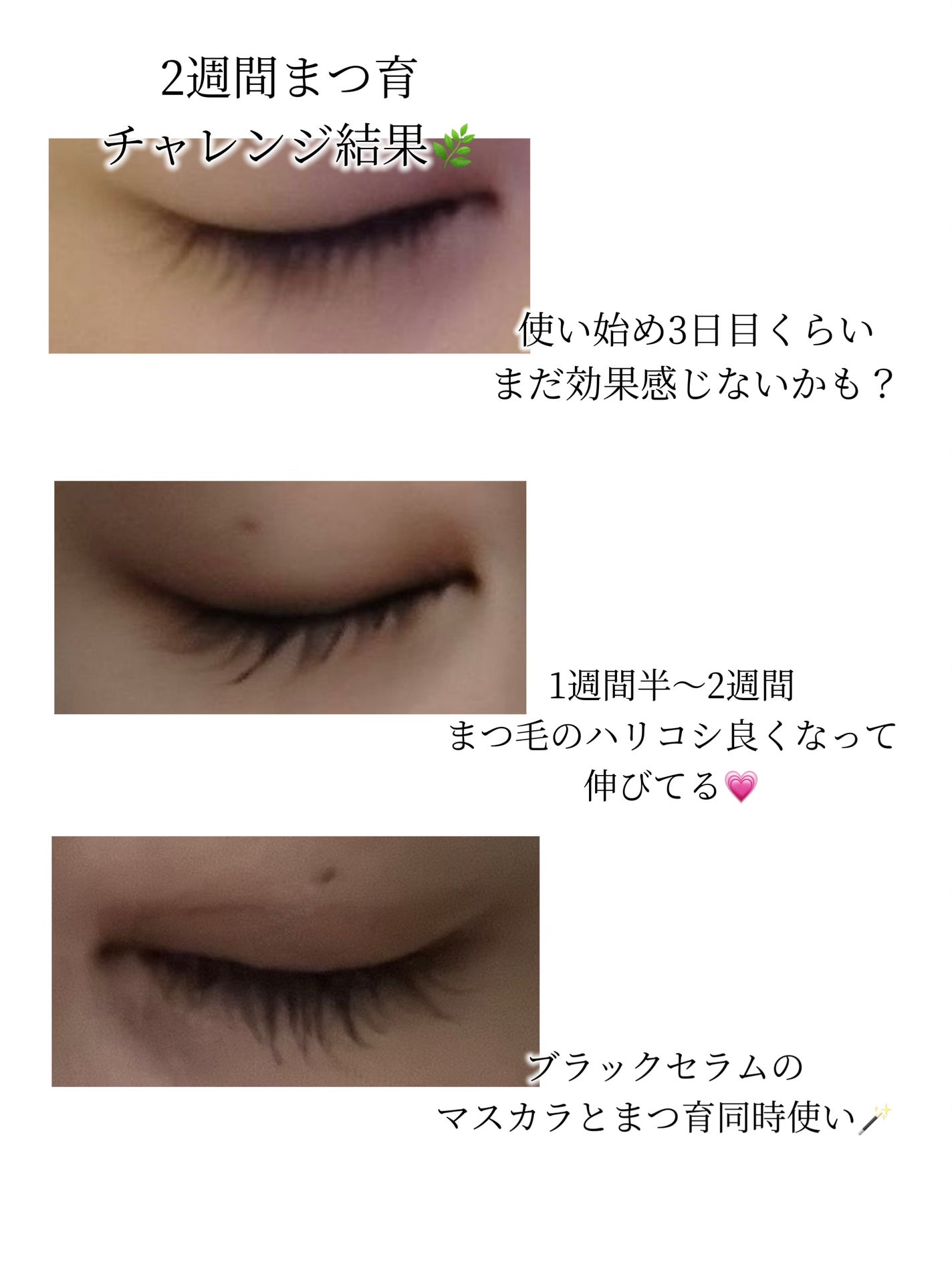 アイラッシュエッセンシャルセラム/epais/まつげ美容液を使ったクチコミ(3枚目)