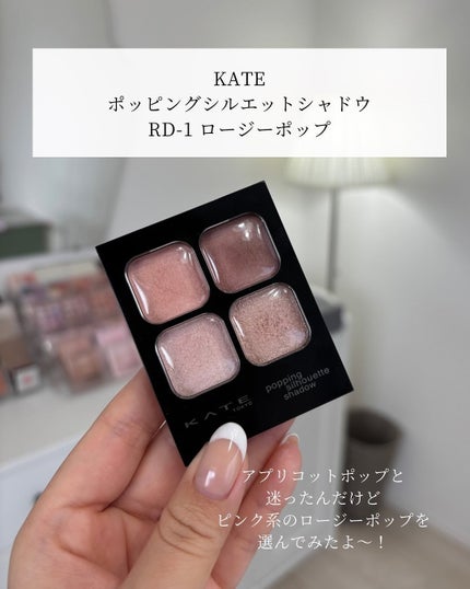 ケイト ポッピングシルエットシャドウ/KATE/アイシャドウパレットを使ったクチコミ(3枚目)