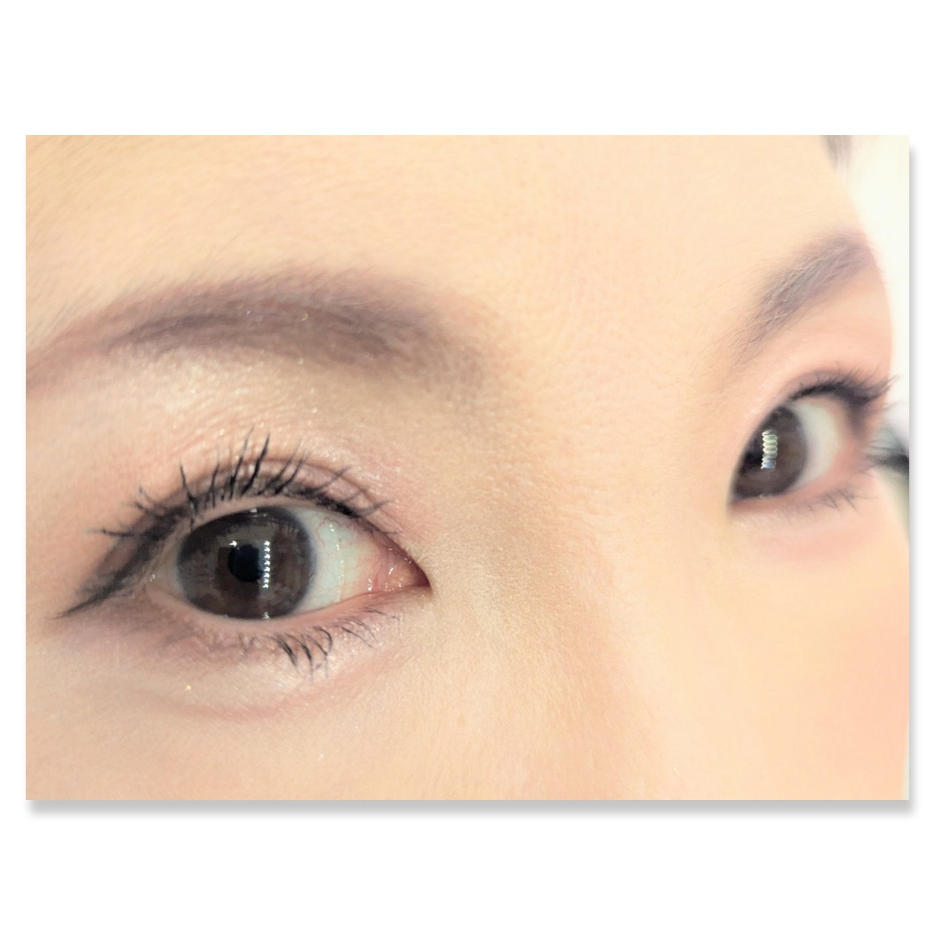 ダブル ムード アイズ/Visée/アイシャドウパレットを使ったクチコミ（2枚目）