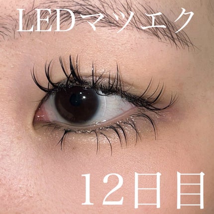 マイルドクレンジング オイル/ファンケル/オイルクレンジングを使ったクチコミ(1枚目)