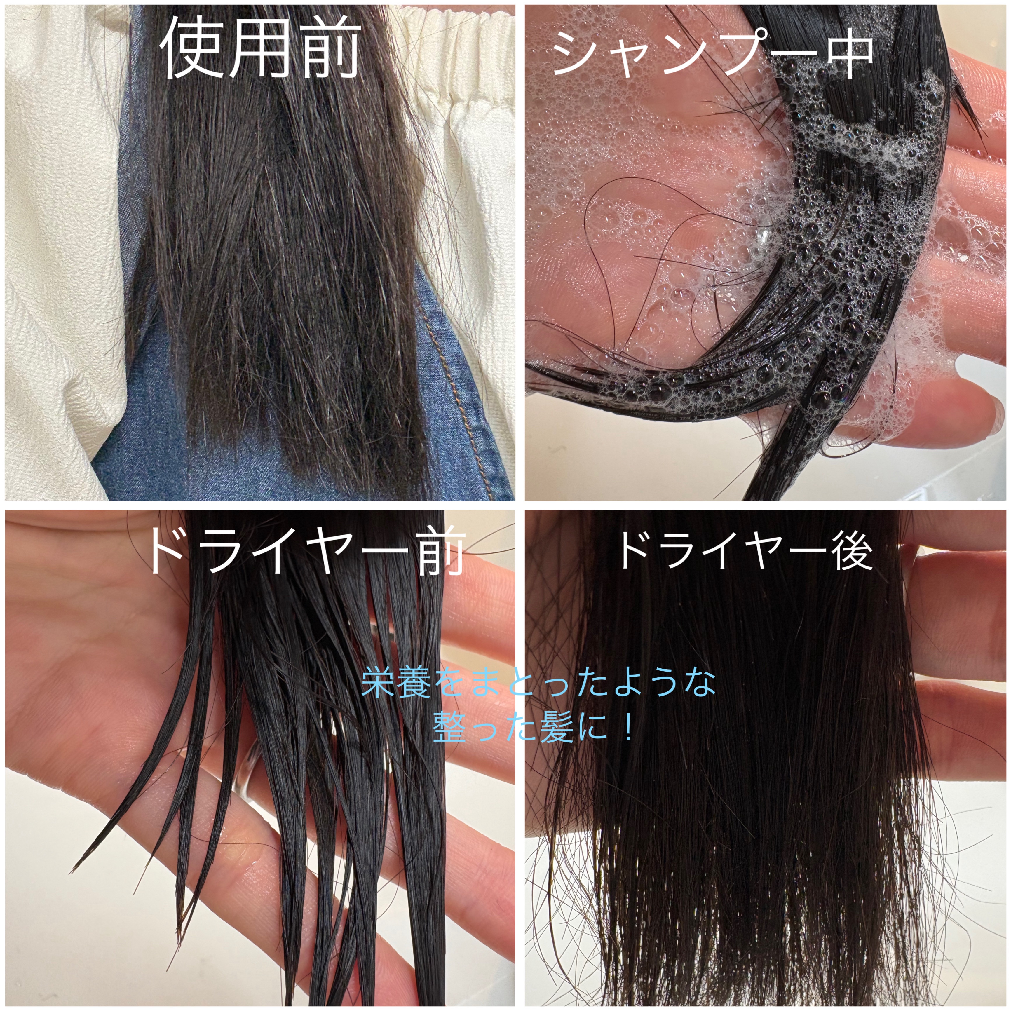 Seika 全 シャンプー/王子製薬/市販シャンプーを使ったクチコミ（3枚目）