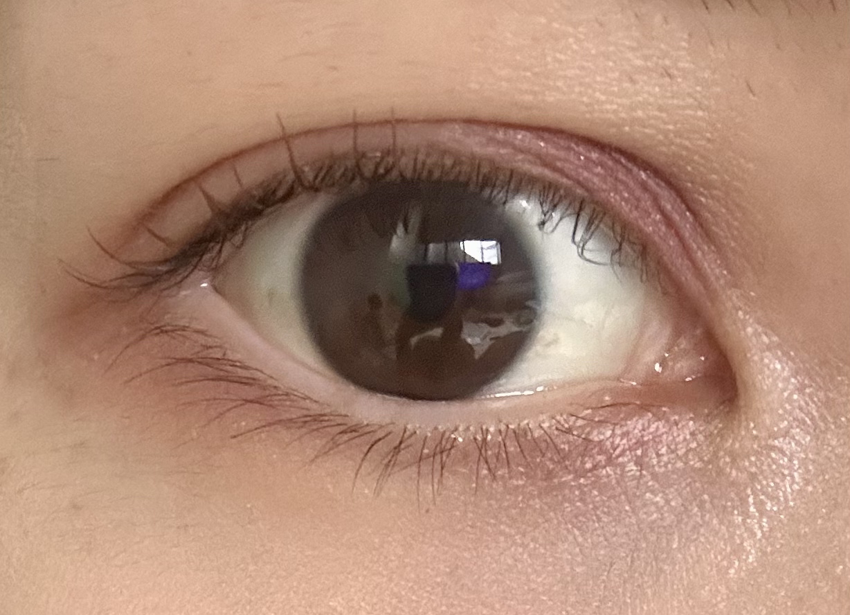 【旧品】パーフェクトスタイリストアイズ/キャンメイク/アイシャドウパレットを使ったクチコミ（2枚目）