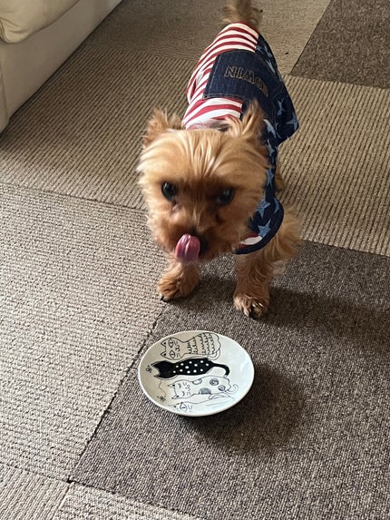 七福 on LIPS 「イルーシー300シャイニーポップマグネットジェル#ローズグレイ..」(4枚目)