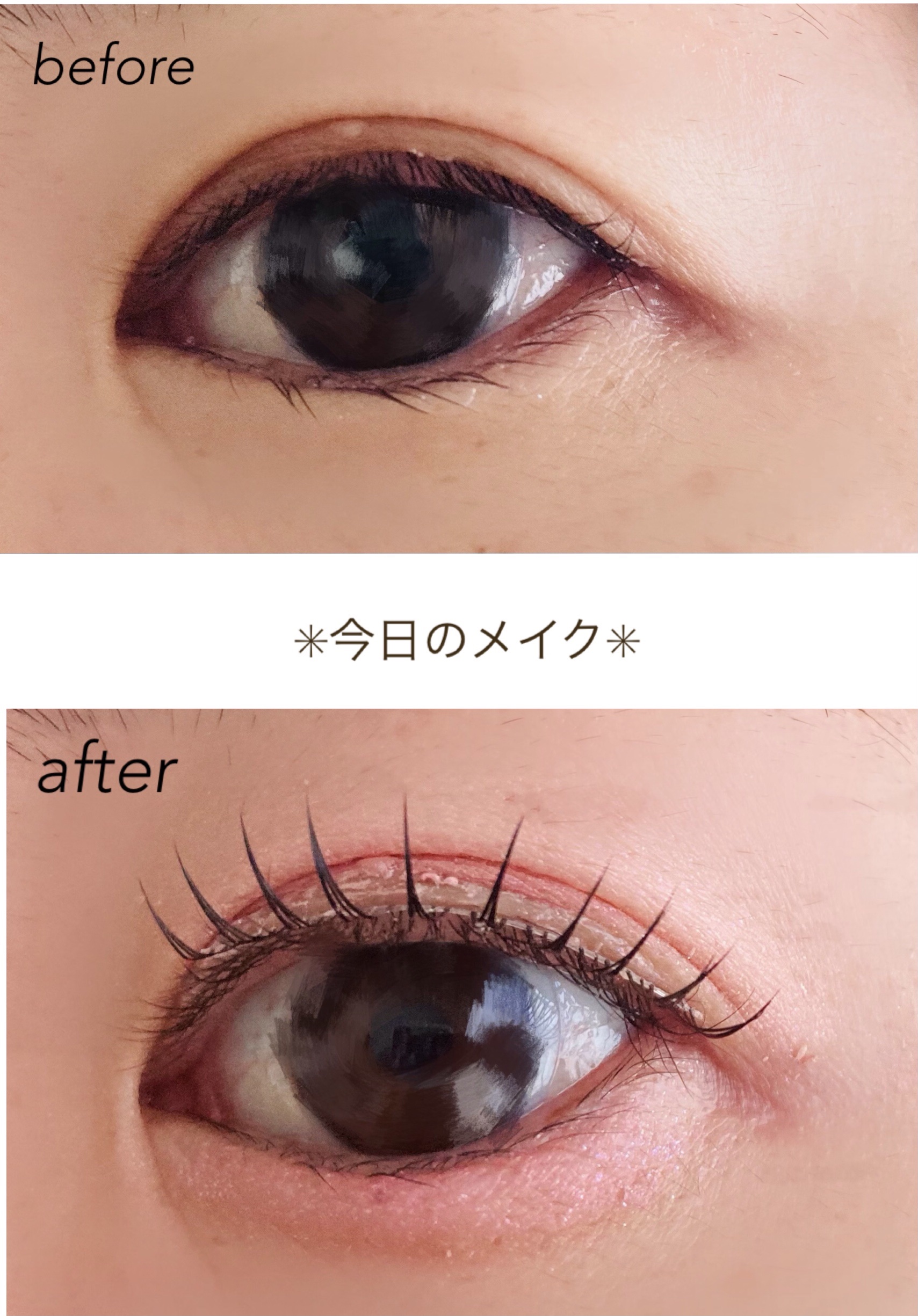 LJつけまつげ/セリア/つけまつげを使ったクチコミ（1枚目）