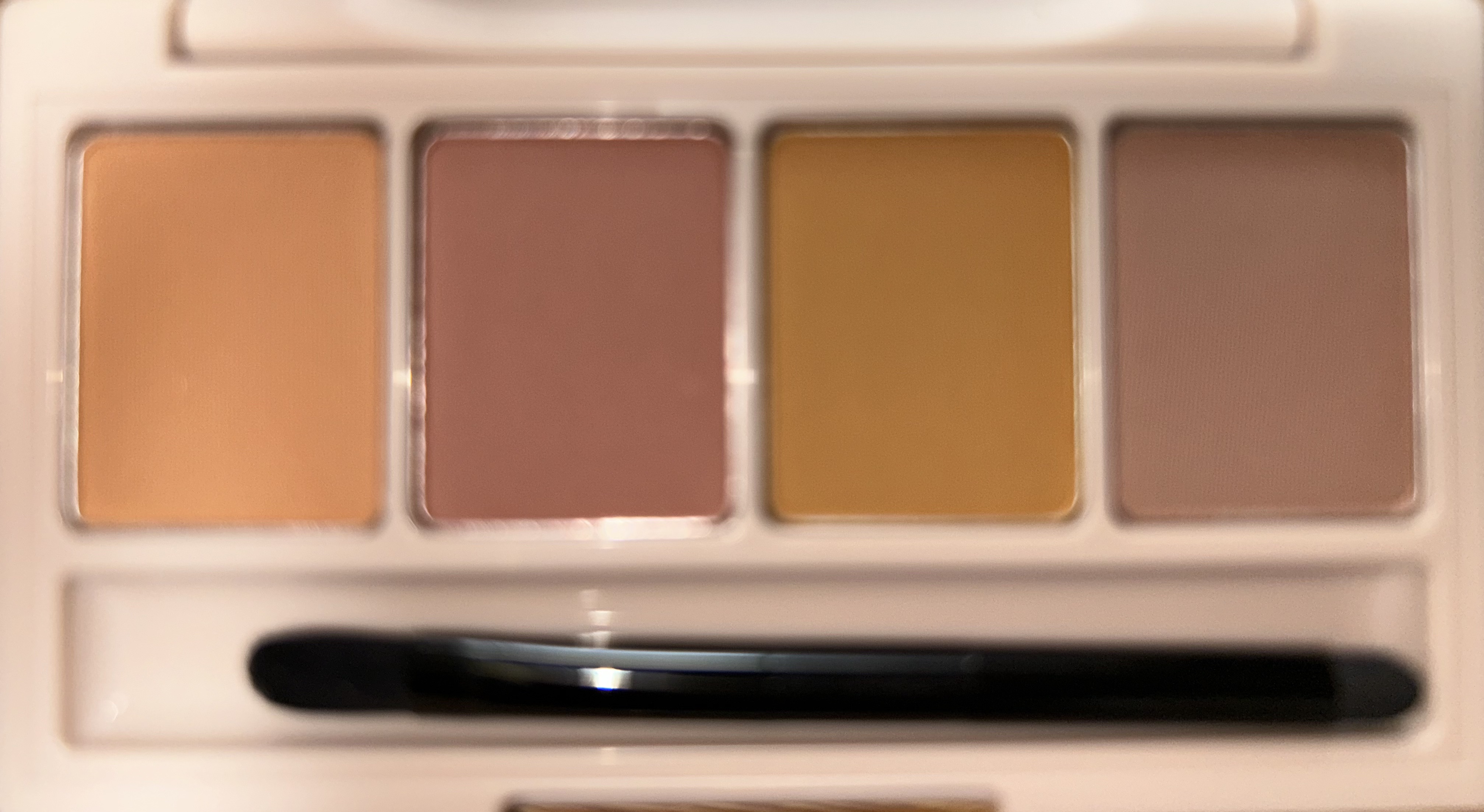 足しパレ/Fujiko/アイシャドウパレットを使ったクチコミ（3枚目）