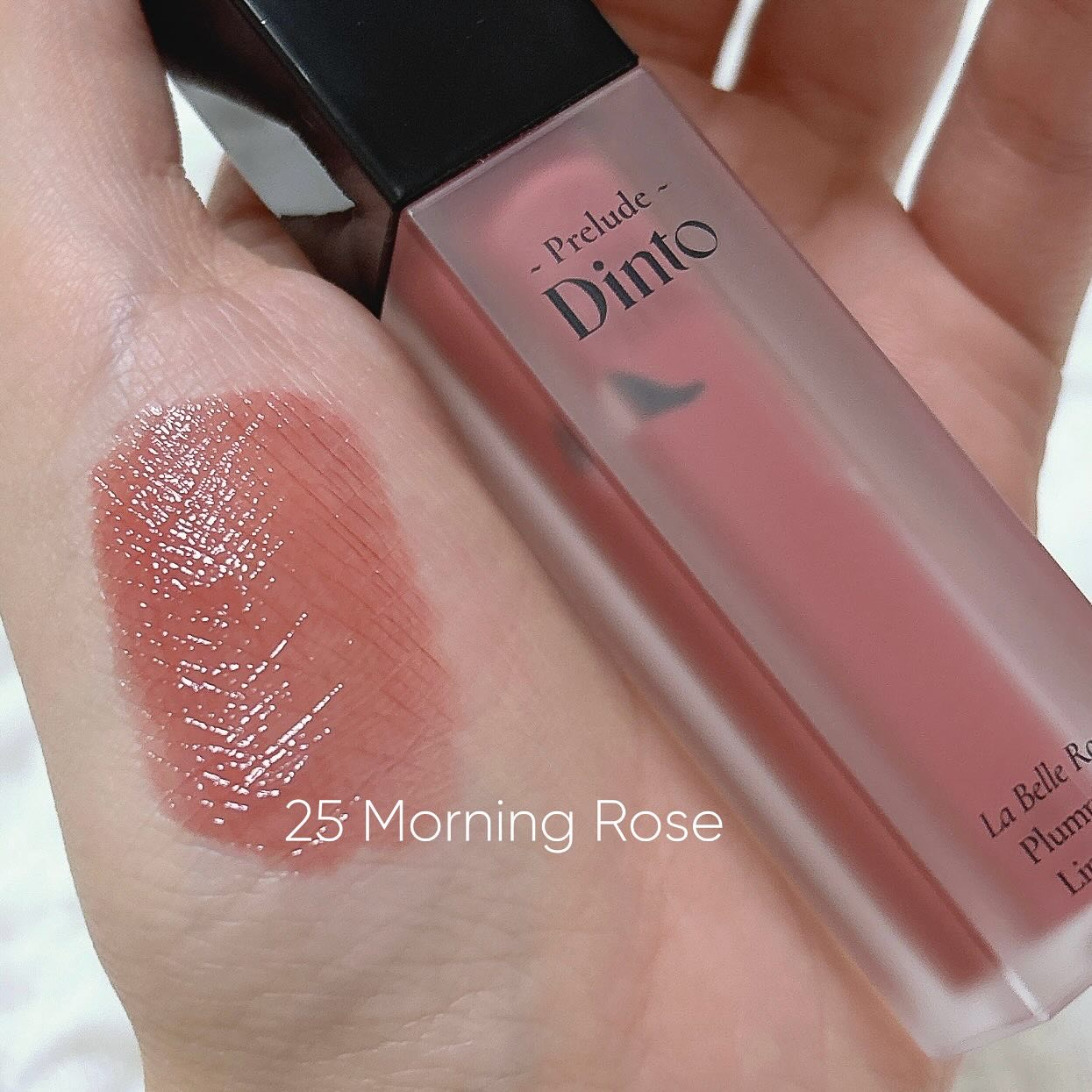 プレリュード・ディント ノスタルジア アイシャドウパレット/Dinto/アイシャドウパレットを使ったクチコミ（3枚目）