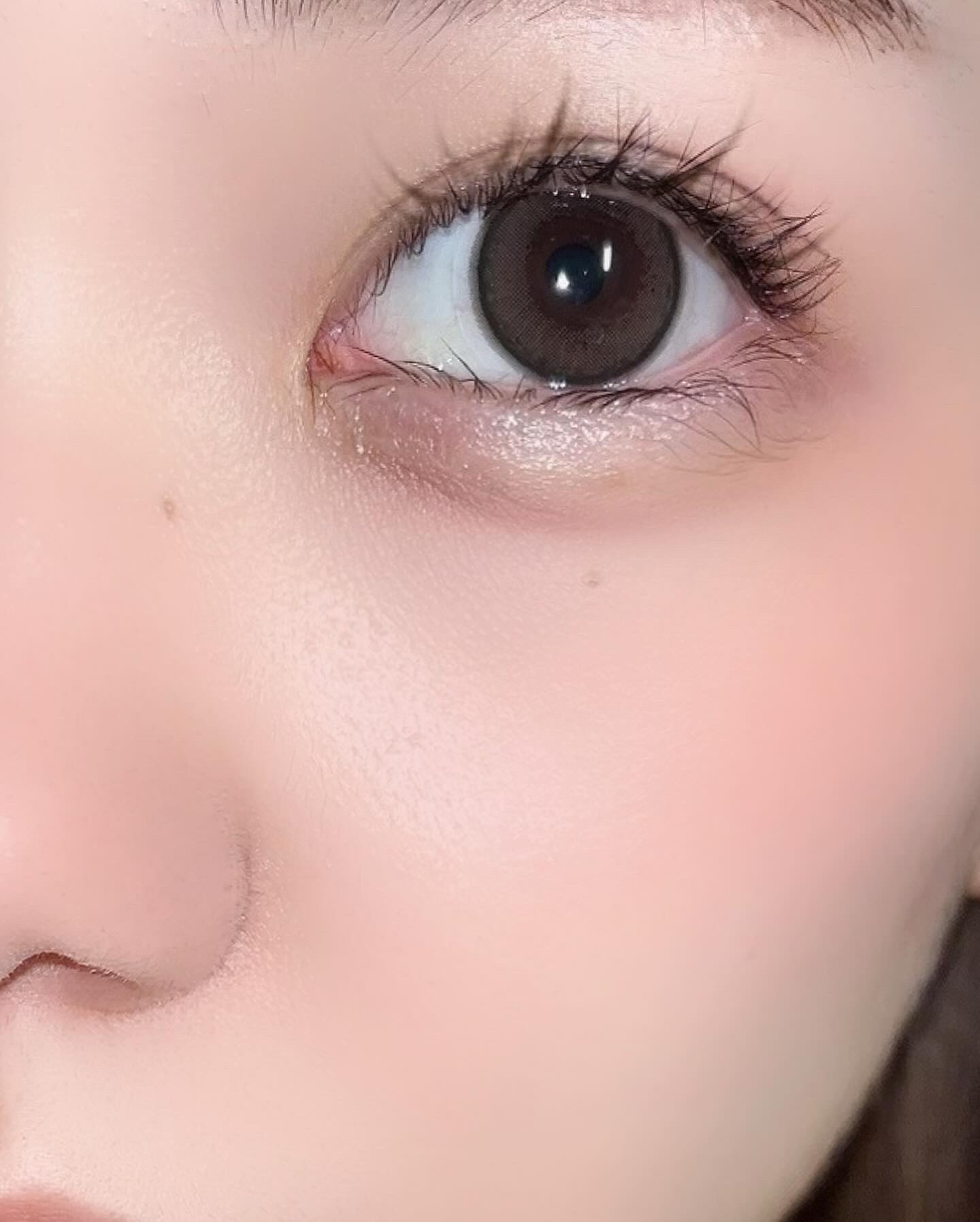 エバーカラーワンデーミリモア/エバーカラー/ワンデー（１DAY）カラコンを使ったクチコミ（3枚目）