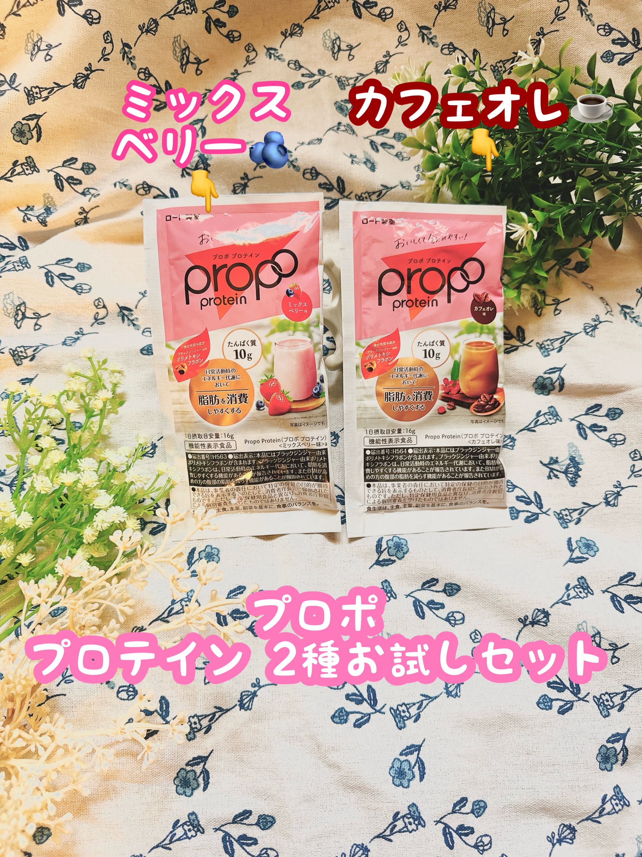 プロポ プロテイン(カフェオレ味)/ロート製薬/その他プロテインを使ったクチコミ（1枚目）