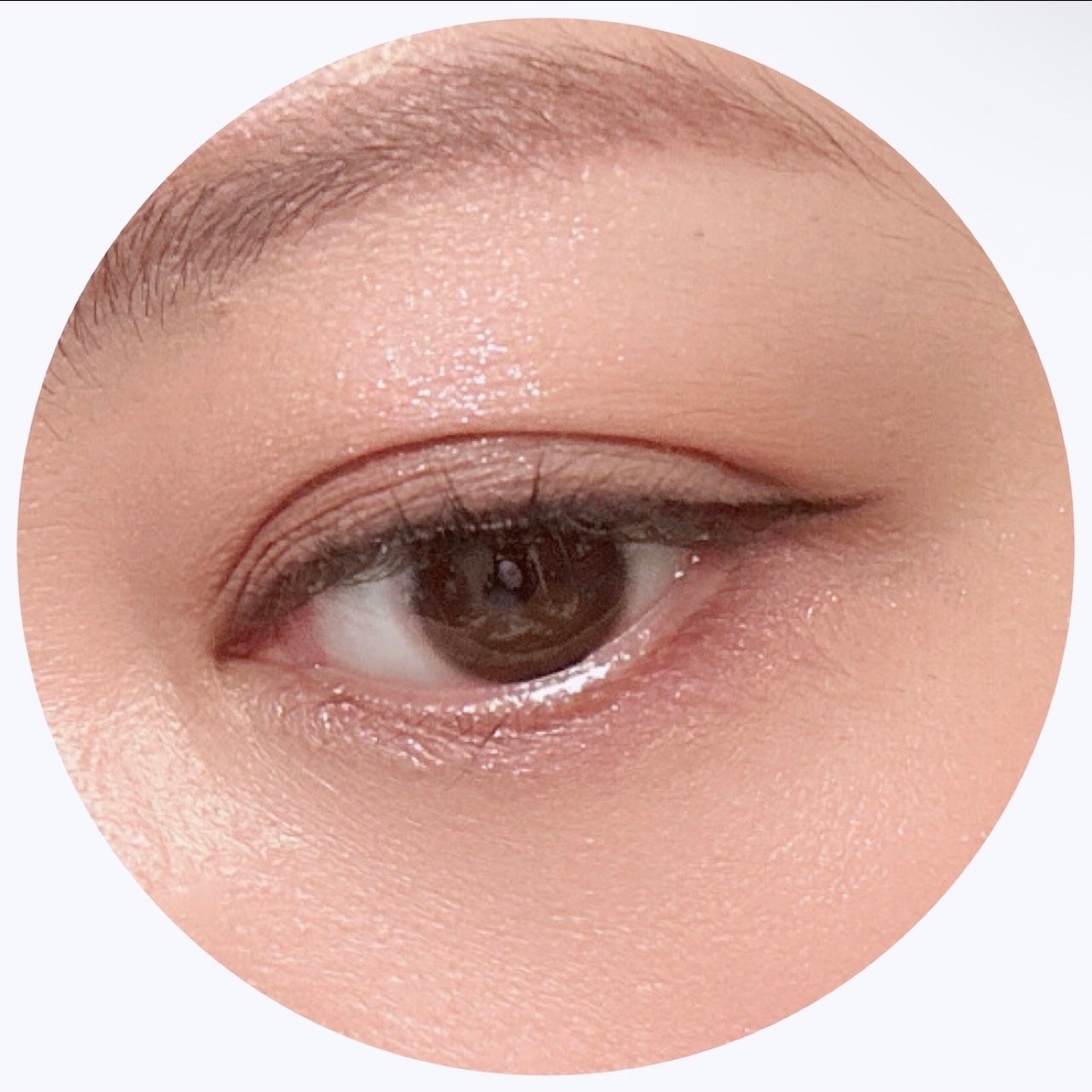 シェルズジュエルコレクション 6色アイシャドウパレット/FlowerKnows/アイシャドウパレットを使ったクチコミ(6枚目)