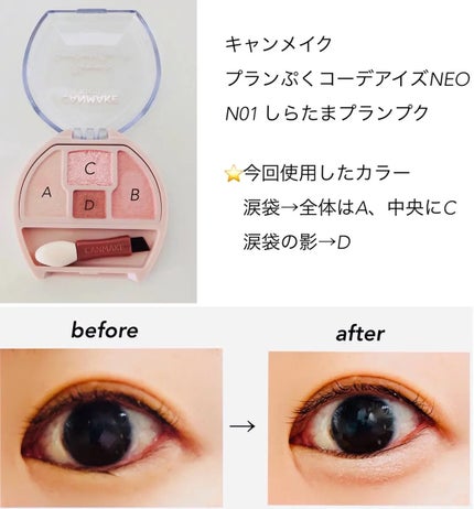 プランぷくコーデアイズNeo/キャンメイク/アイシャドウを使ったクチコミ(1枚目)