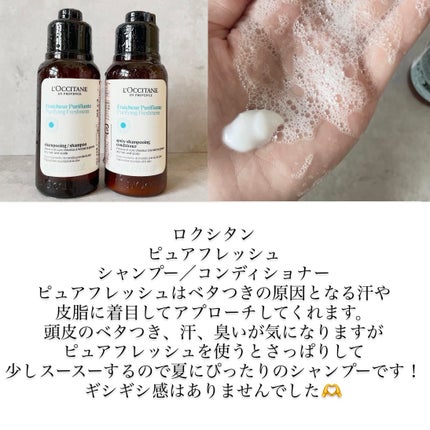 ピュアフレッシュ シャンプー/ コンディショナー シャンプー本体(500mL)/L'OCCITANE/市販シャンプーの画像