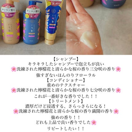 ピュアフレッシュ シャンプー/ コンディショナー シャンプー本体(500mL)/L'OCCITANE/市販シャンプーの画像