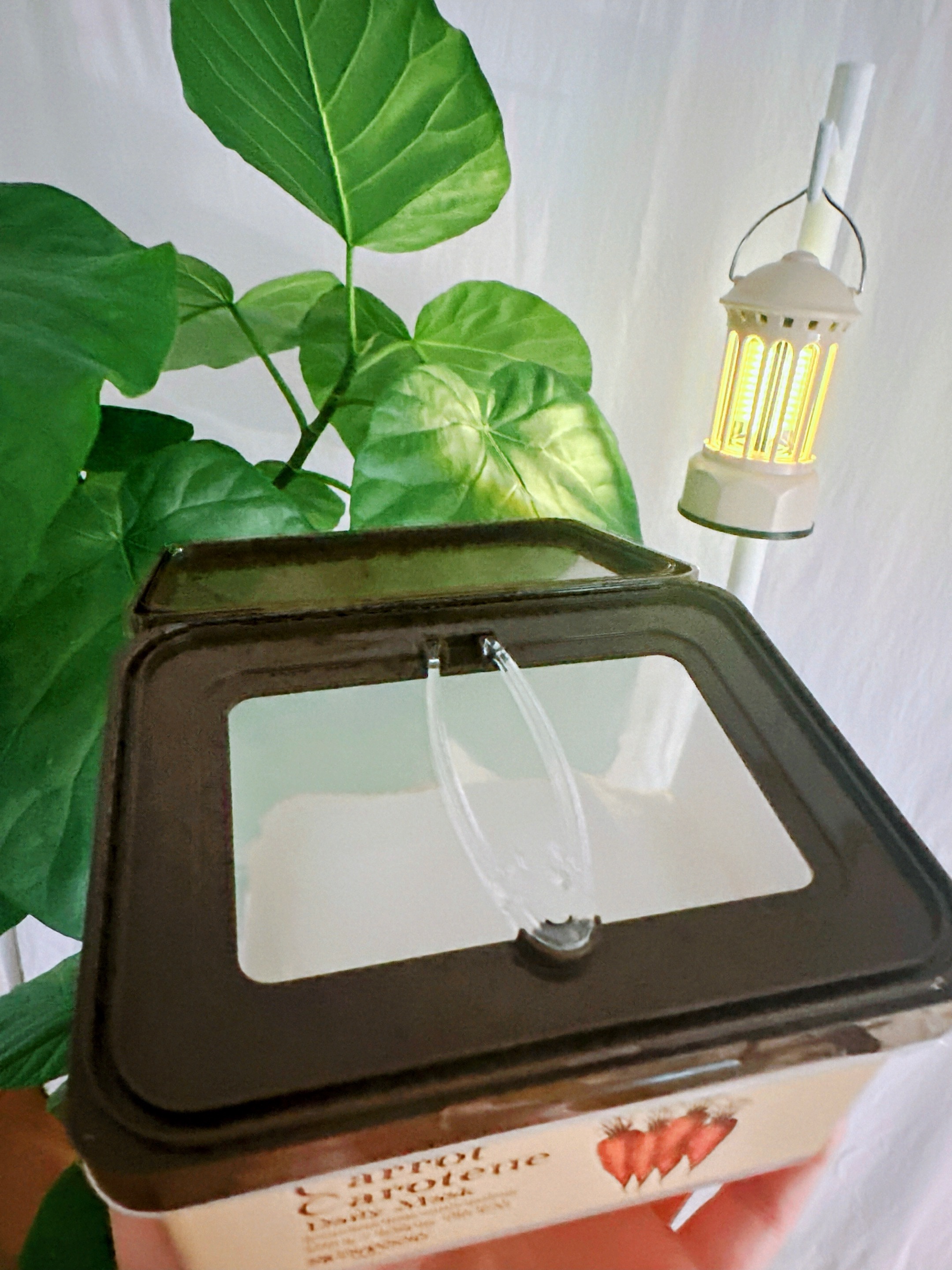 キャロットカロテン デイリーマスク/SKINFOOD/シートマスク・パックを使ったクチコミ（3枚目）