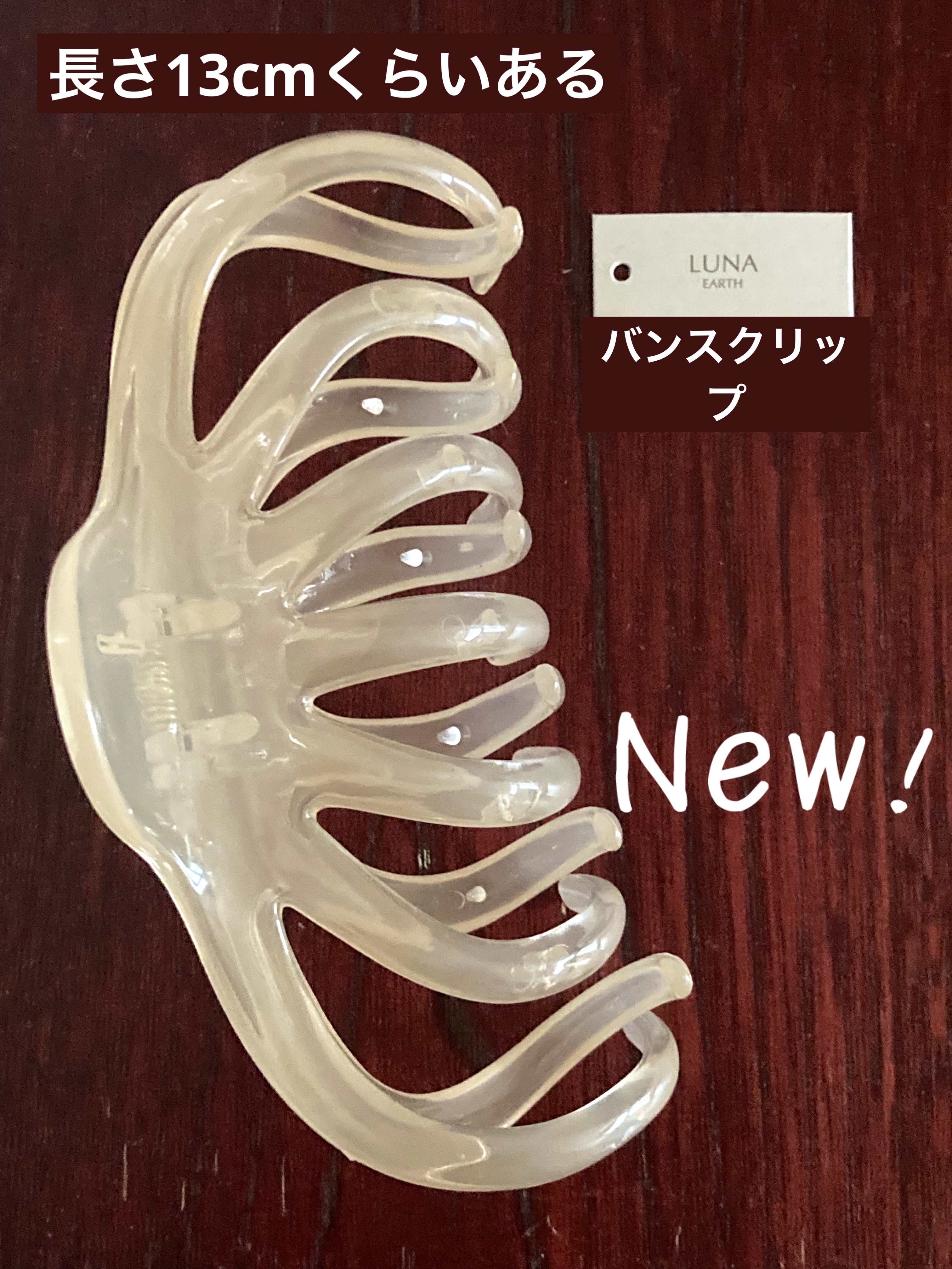 バンスクリップ/LUNA earth/ヘアアクセサリーを使ったクチコミ（1枚目）