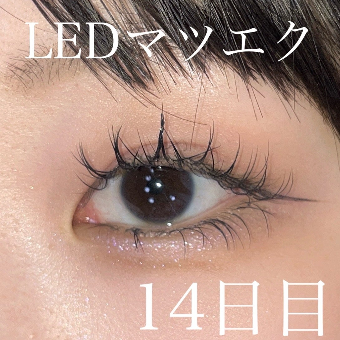 THREE ユナイテッドフルイドアイカラー/THREE/リキッドアイシャドウを使ったクチコミ(1枚目)