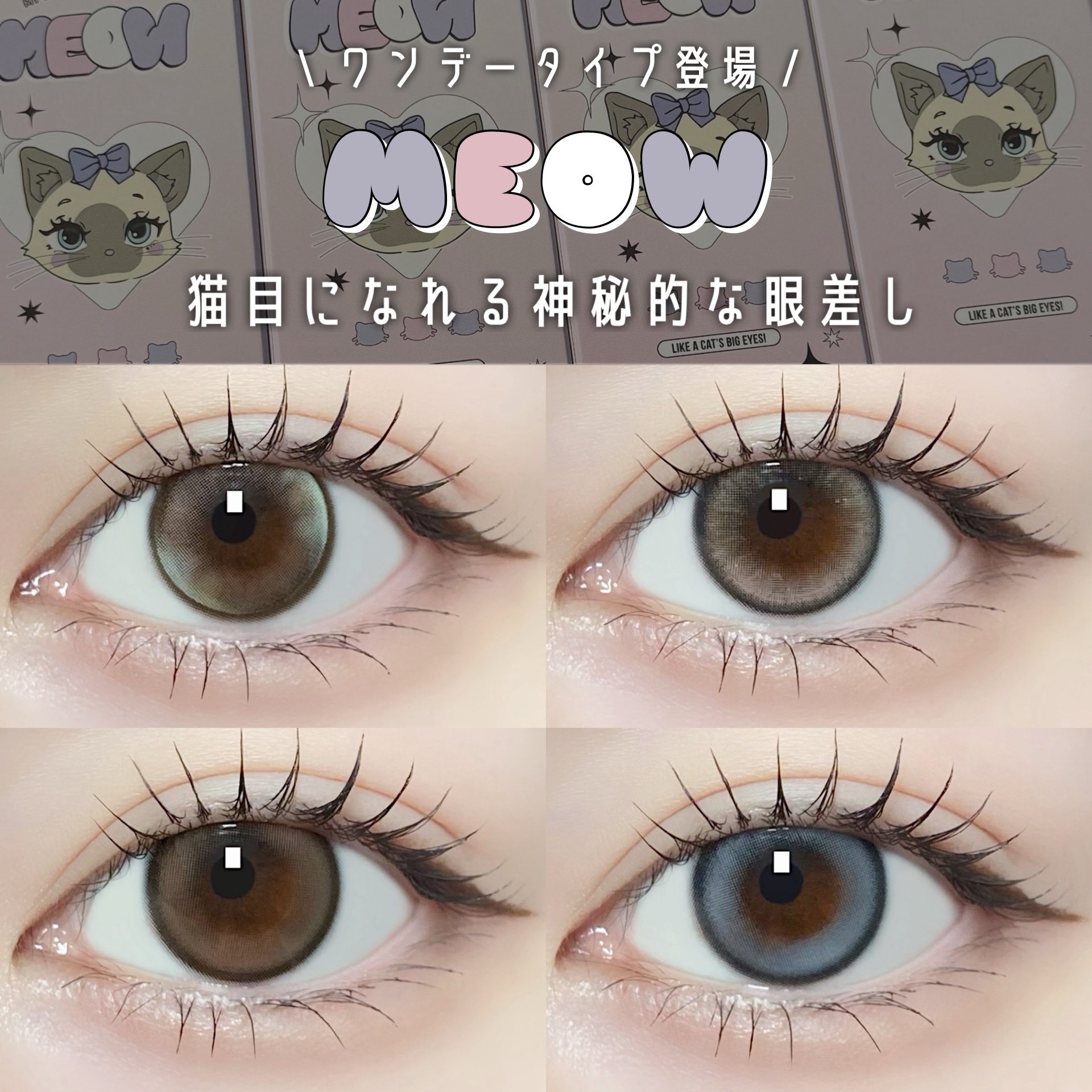 IDIFF MEOW 1DAY/OLOLA/ワンデー（１DAY）カラコンを使ったクチコミ（1枚目）