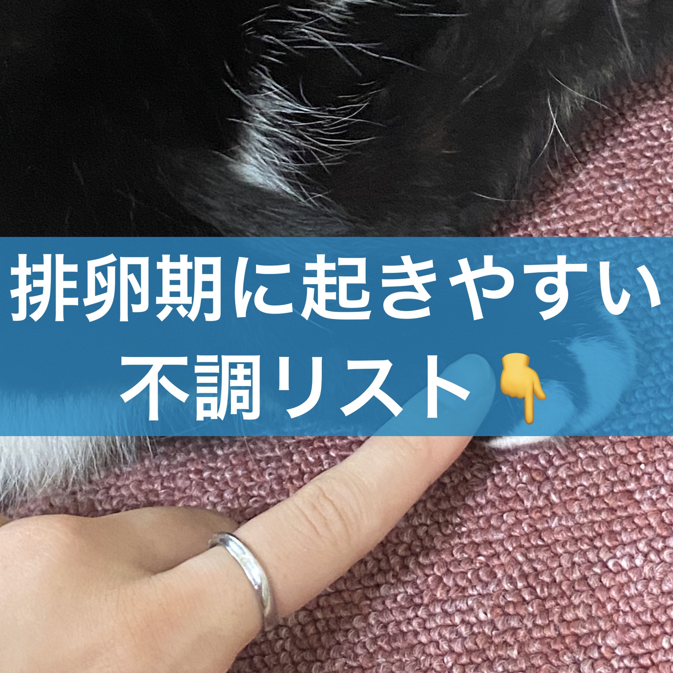 命の母ホワイト(医薬品)/命の母/その他を使ったクチコミ（1枚目）