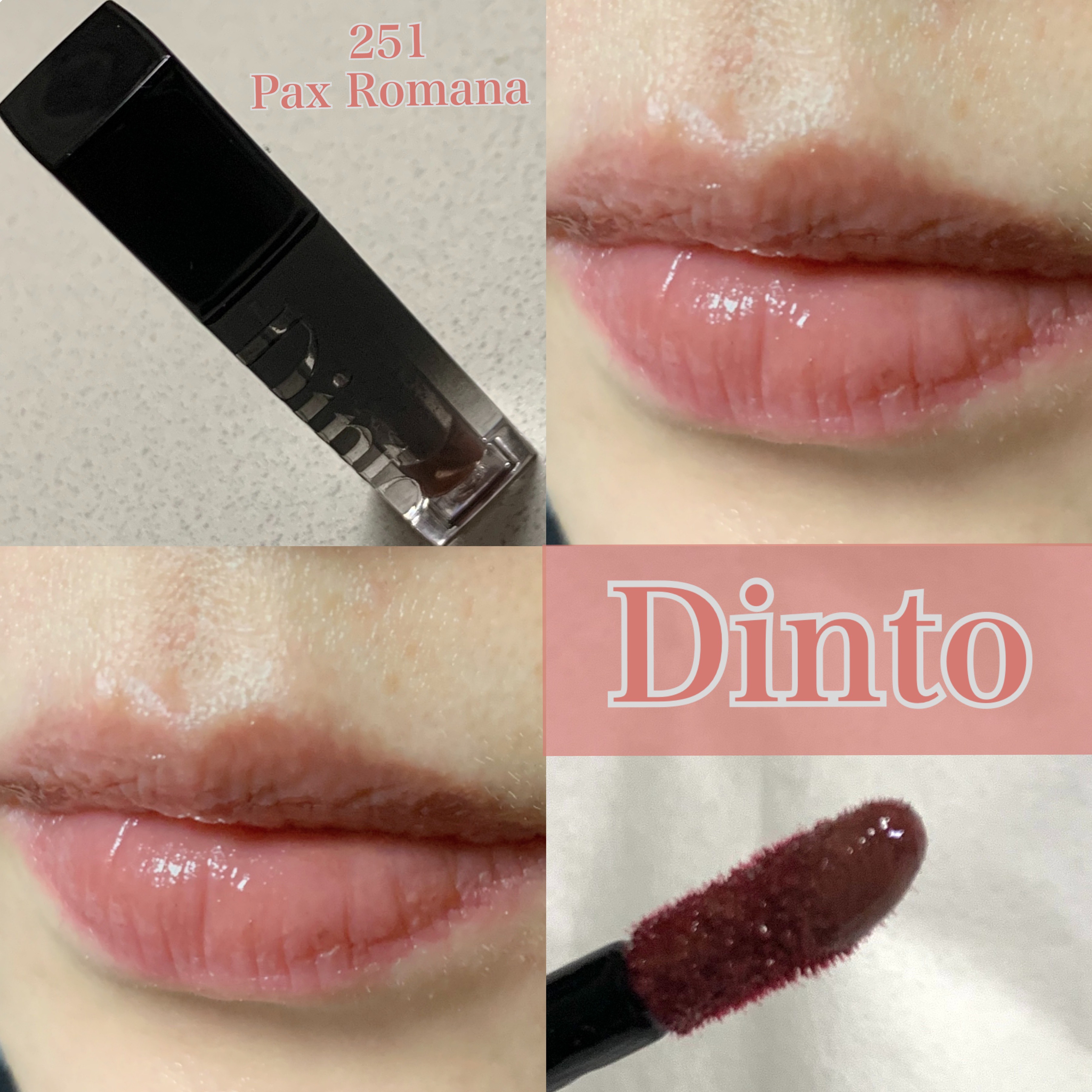 ブラーグロイリップティント 283 パクスロマーナ/Dinto/リップティントを使ったクチコミ（1枚目）