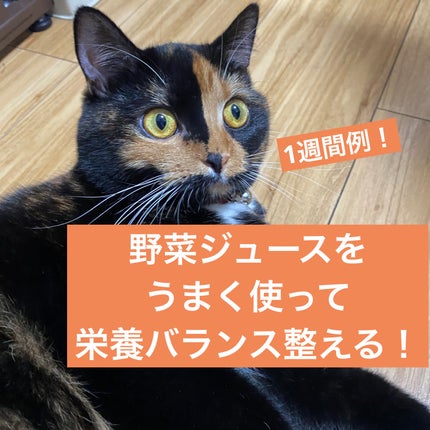 野菜生活100/野菜生活100/野菜ジュースを使ったクチコミ(1枚目)