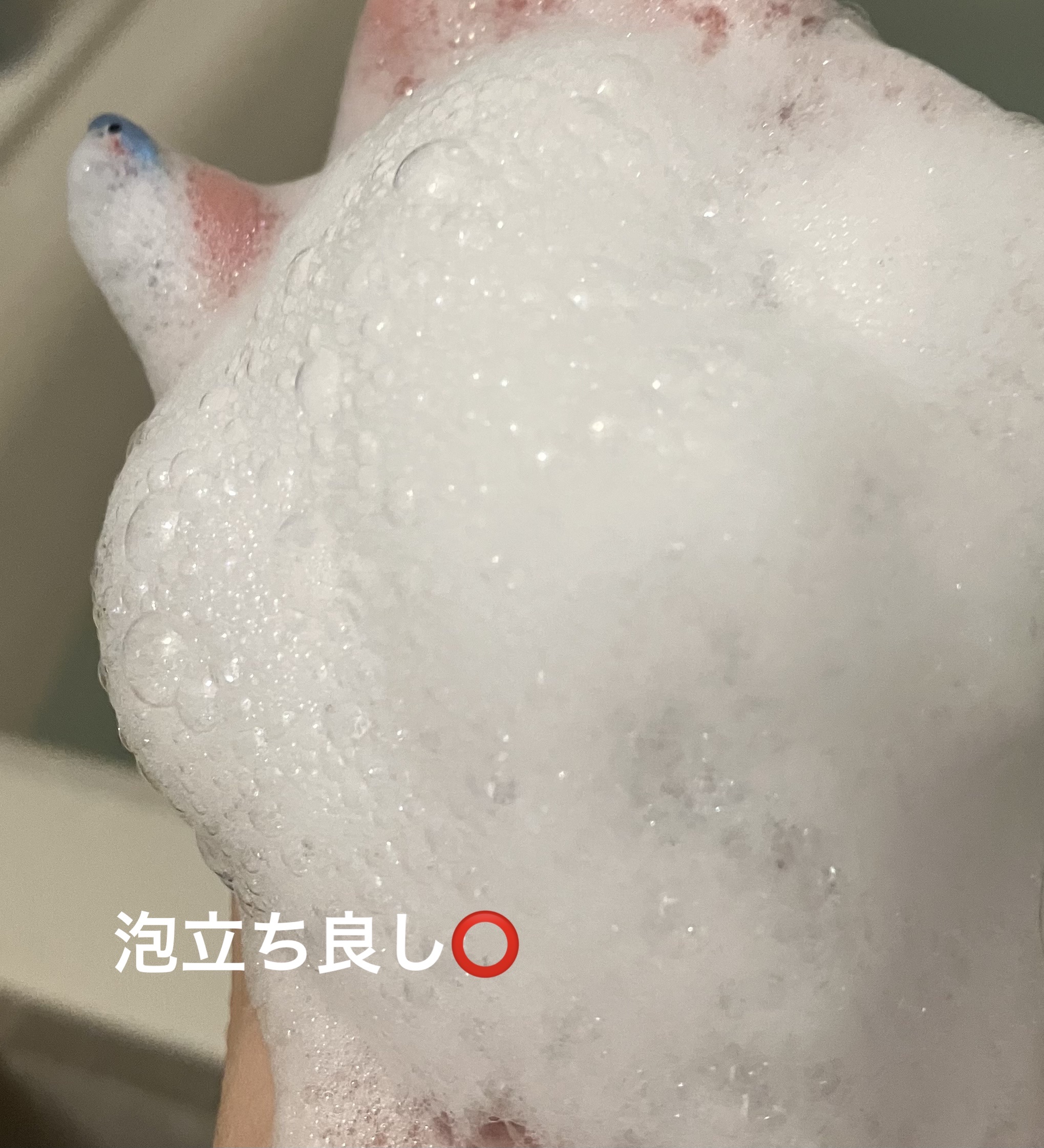 ラッピングモイストシャンプー/トリートメント/Qurap/市販シャンプーを使ったクチコミ（3枚目）