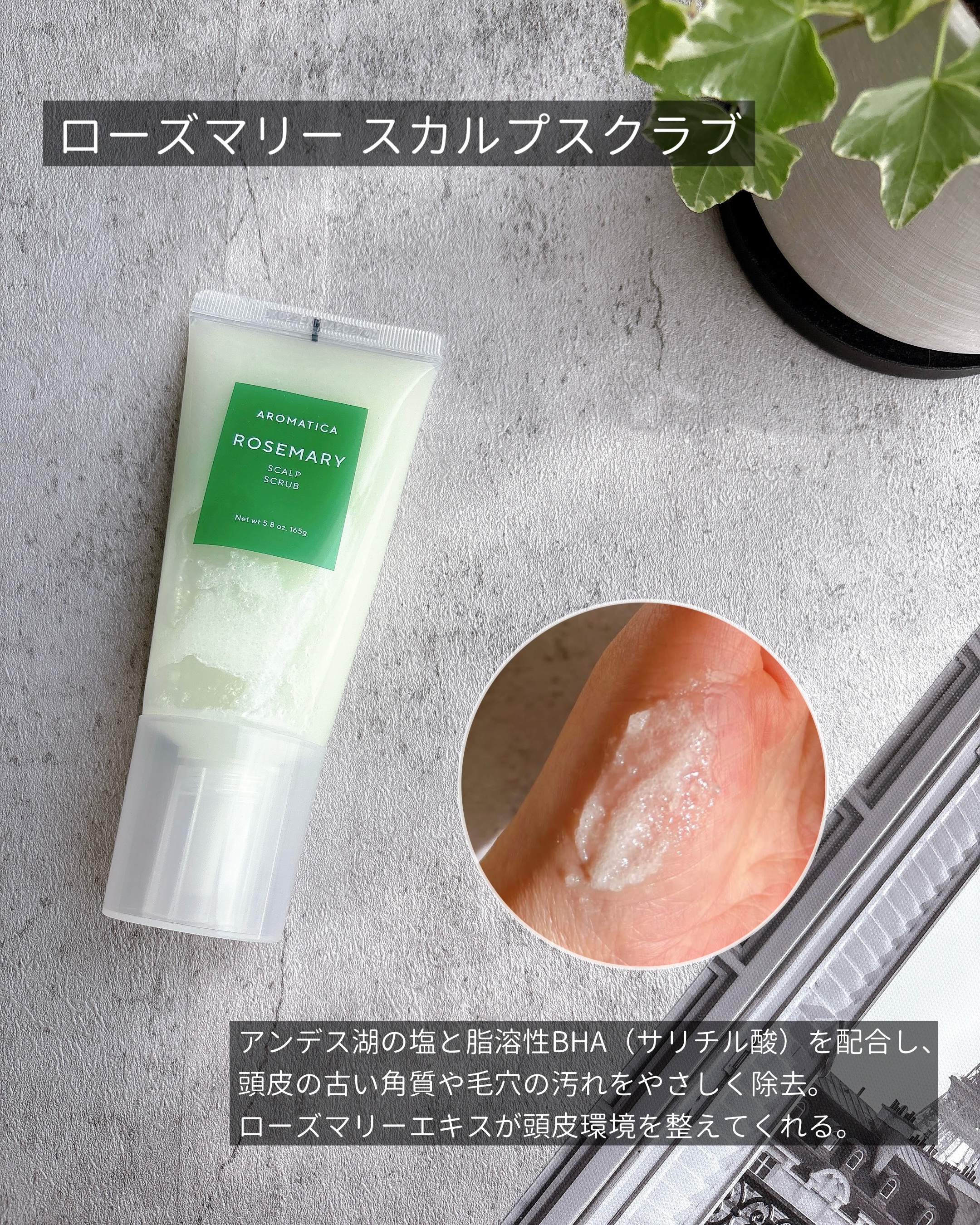 ローズマリー スカルプ スクラブ/AROMATICA/ヘッドスクラブを使ったクチコミ（2枚目）