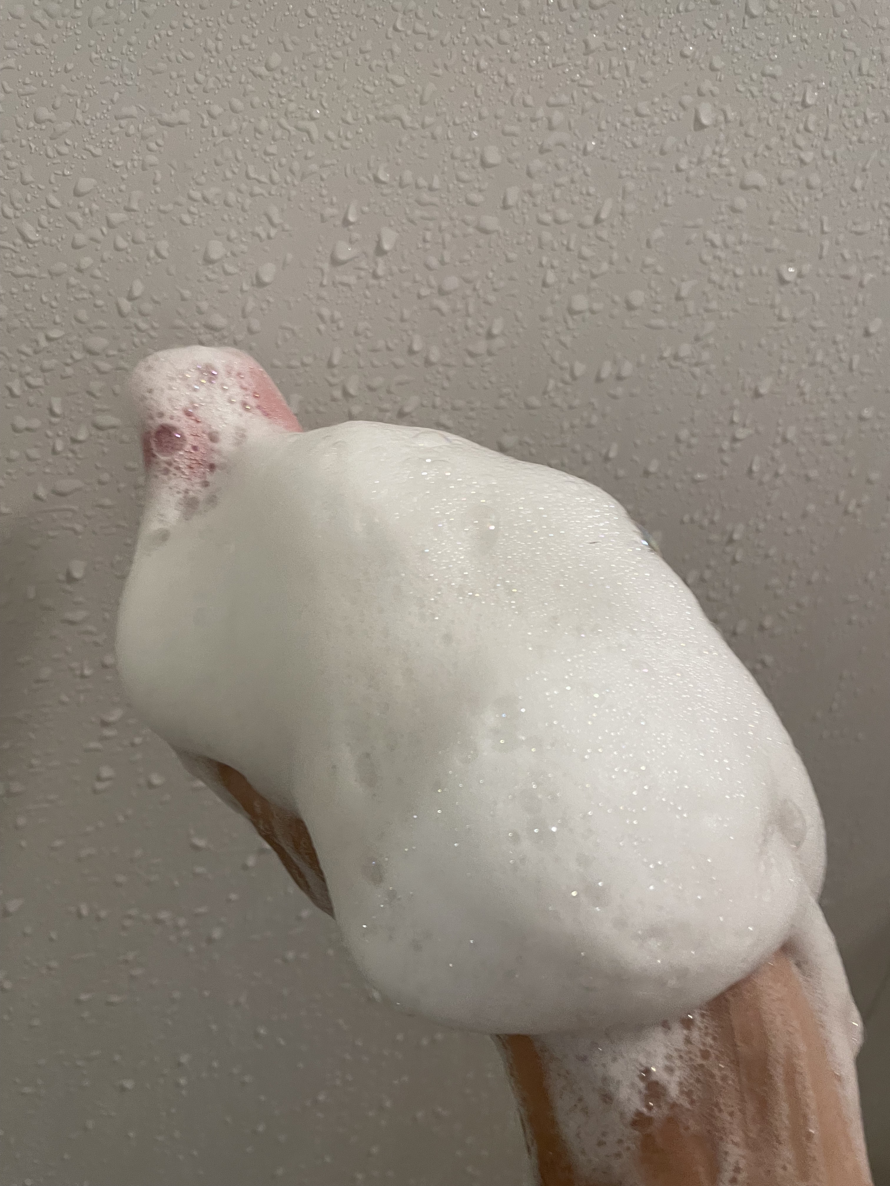 Seika 全 シャンプー/王子製薬/市販シャンプーを使ったクチコミ（3枚目）