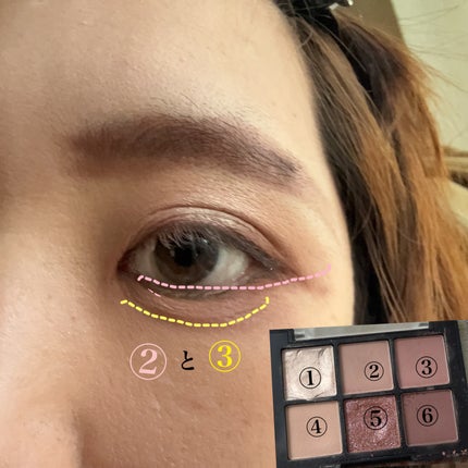 ブラーフィニシュシャドウパレット/Dinto/アイシャドウパレットを使ったクチコミ(5枚目)