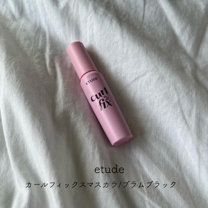 カールフィックスマスカラ/ETUDE/マスカラを使ったクチコミ(1枚目)