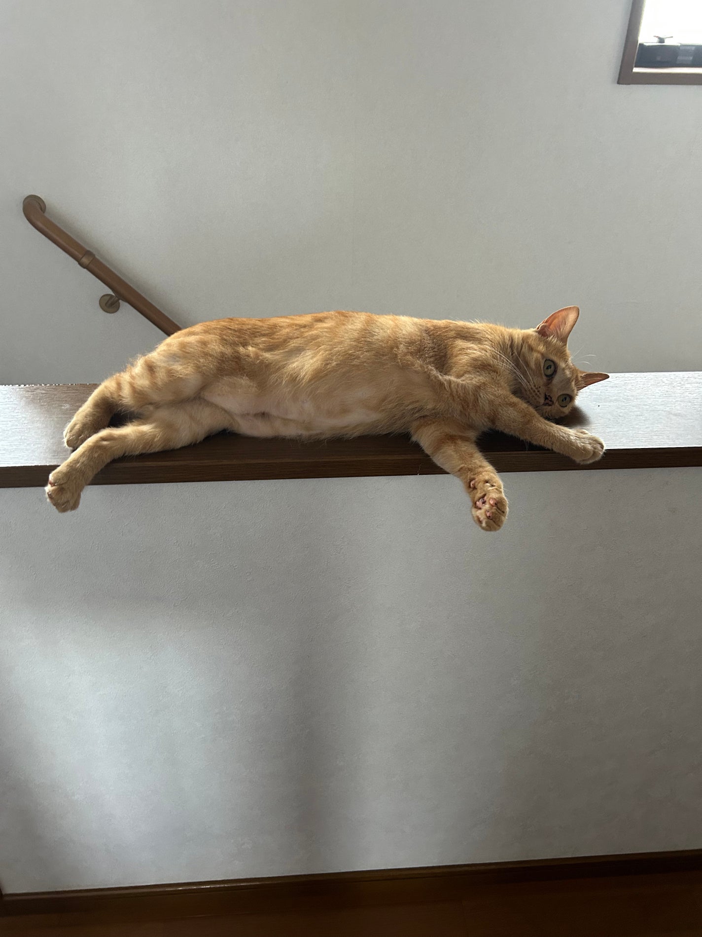 ðââ¬ã«ãããðŸ on LIPS ãã»ããšã«å±ãªãããâŠå¯è¿ãã¯ãããªãã§ãâŠ..ãïŒ3æç®ïŒ