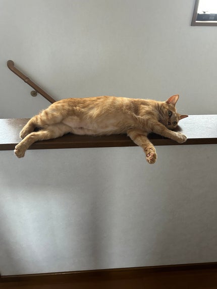 ðââ¬ã«ãããðŸ on LIPS ãã»ããšã«å±ãªãããâŠå¯è¿ãã¯ãããªãã§ãâŠ..ãïŒ3æç®ïŒ