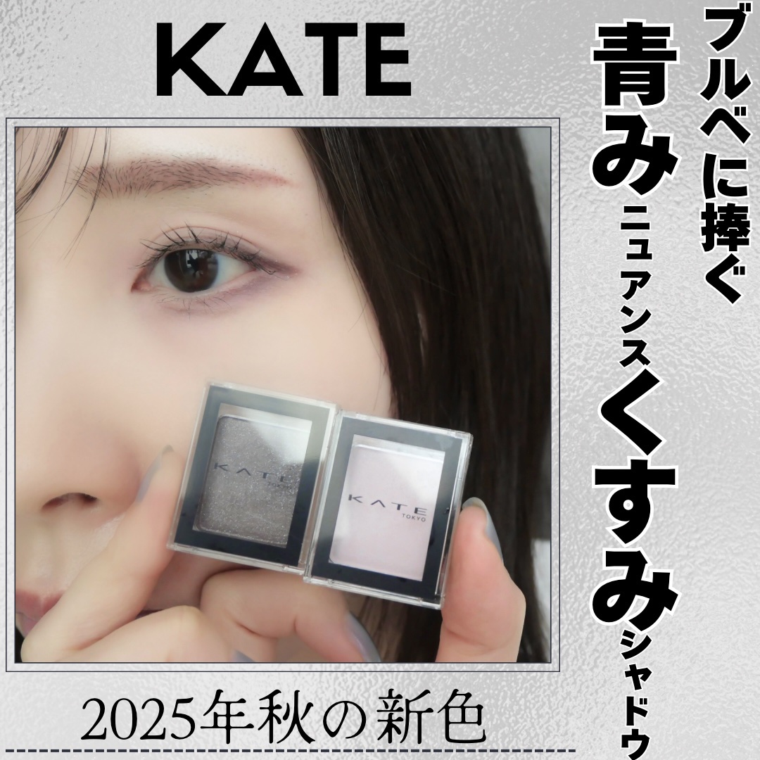 ケイト ザ アイカラー/KATE/単色アイシャドウを使ったクチコミ（1枚目）