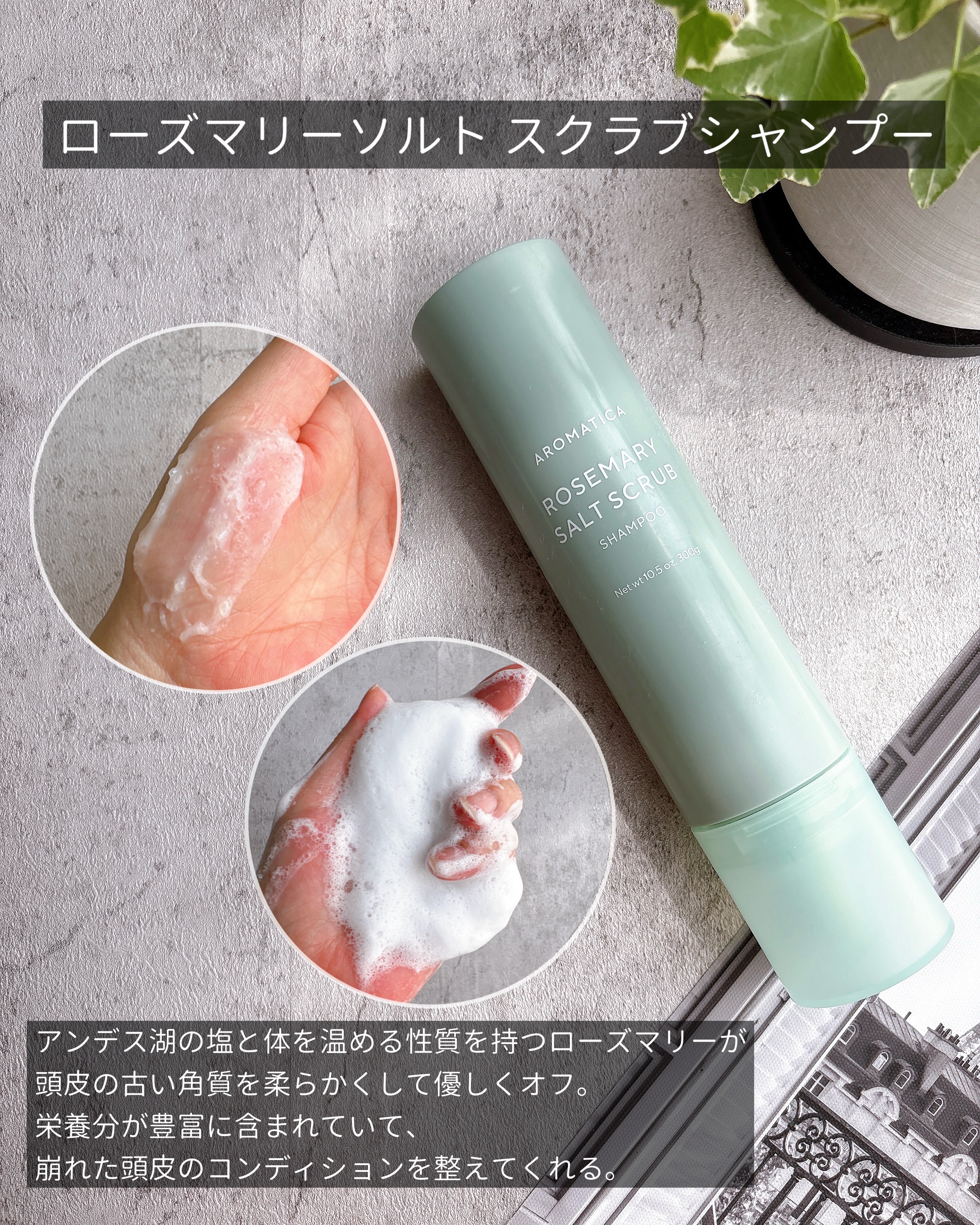 ローズマリー スカルプ スクラブ/AROMATICA/ヘッドスクラブを使ったクチコミ（3枚目）