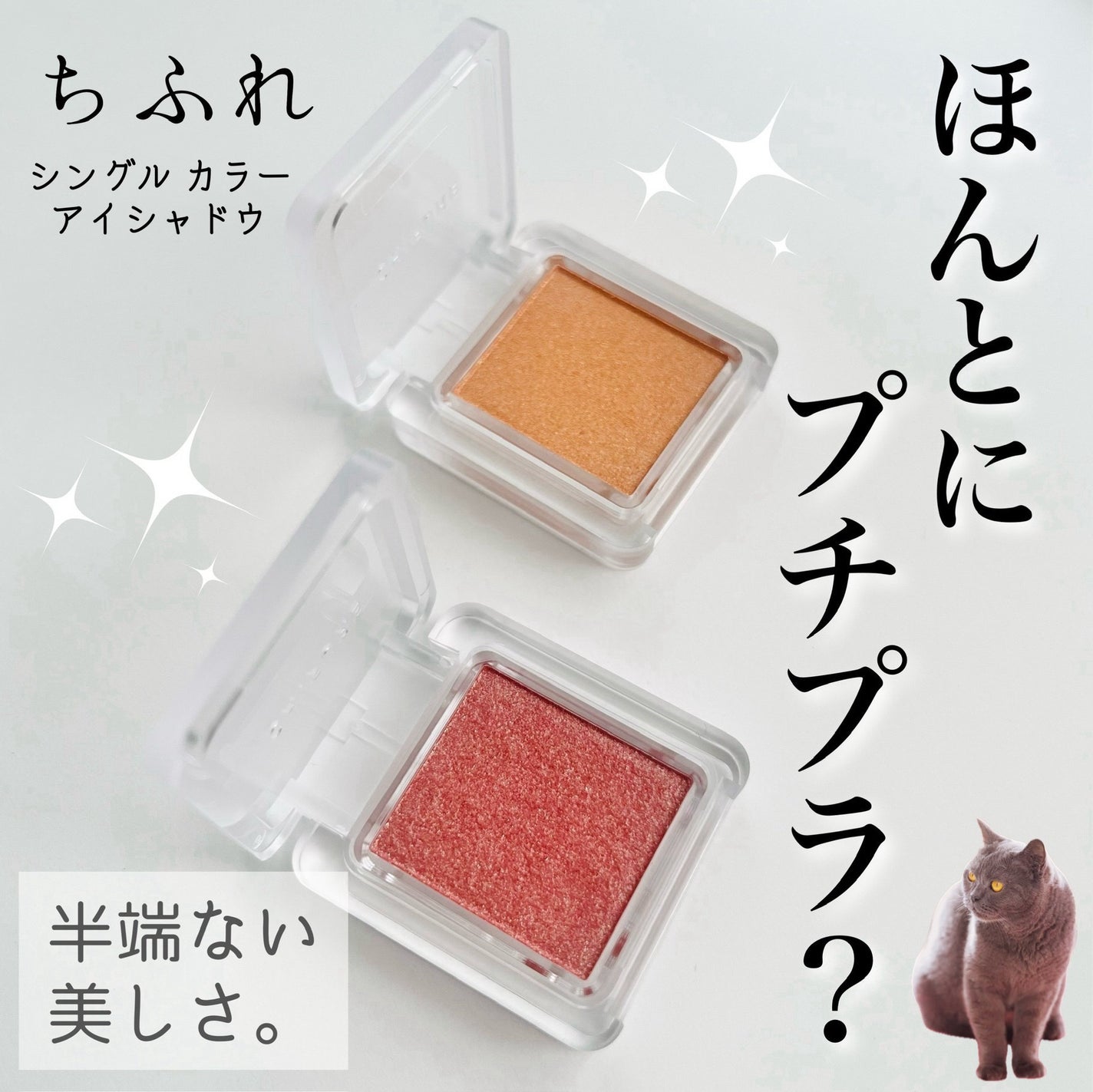 シングル カラー アイシャドウ/ちふれ/単色アイシャドウを使ったクチコミ(1枚目)