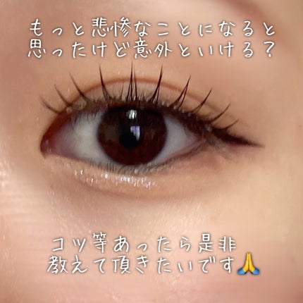 ミッシュブルーミン アイラッシュ インフィニティライン/ミッシュブルーミン/つけまつげを使ったクチコミ(6枚目)