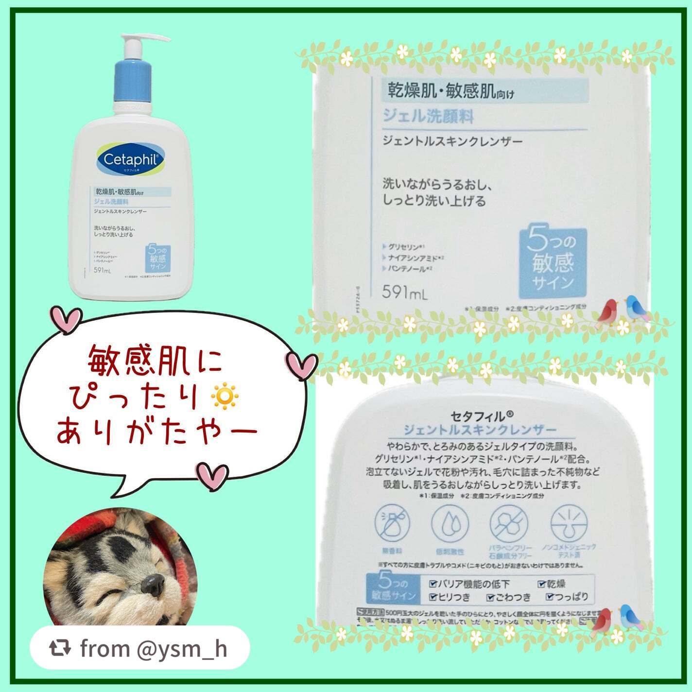 ジェントルスキンクレンザー/セタフィル/その他洗顔料を使ったクチコミ(2枚目)