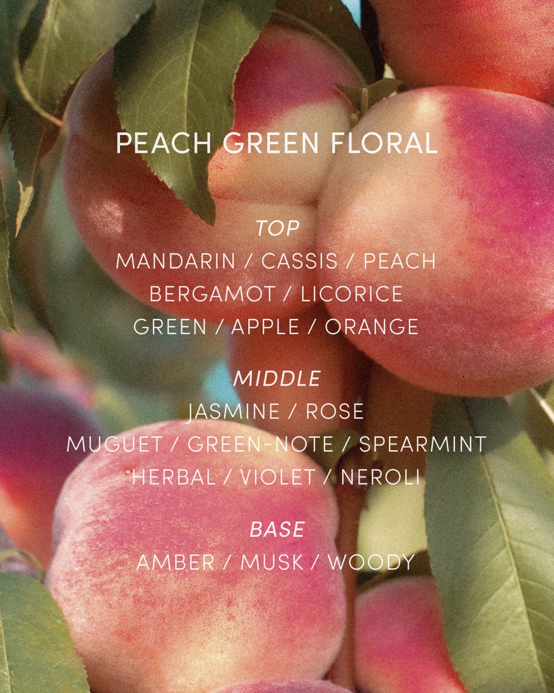 LAGOM〈ラゴム〉 公式アカウント on LIPS 「\泡立て不要の朝用ジェル洗顔/ぷるんとジェルが水状に変わり、朝..」(3枚目)