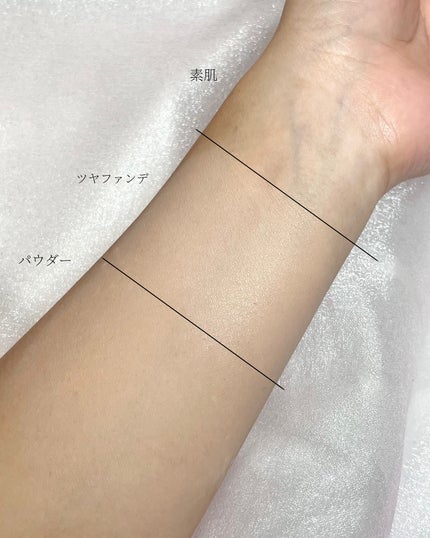 大容量オイルコントロールセッティングパウダー/ZEESEA/ルースパウダーを使ったクチコミ(3枚目)