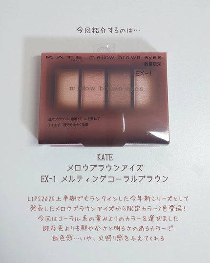 ケイト メロウブラウンアイズ/KATE/アイシャドウパレットを使ったクチコミ(2枚目)