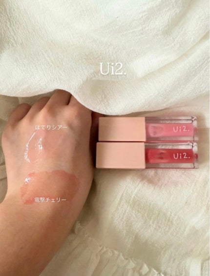 ニードルプランパー 高熱フィグ/Ui2./リッププランパーを使ったクチコミ(2枚目)
