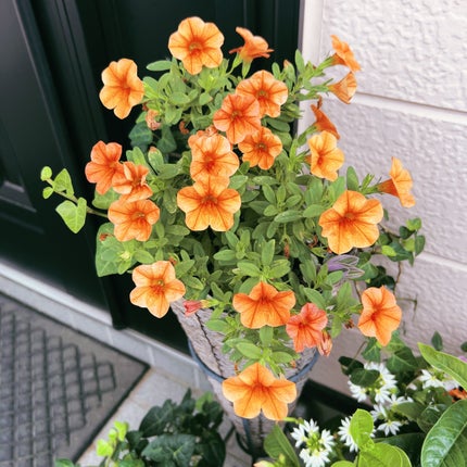 ひふみレイキ💫フォロバ♾️ on LIPS 「物価高のいま、何を買うにも「ほんとうに必要?」と一度立ち止まっ..」(6枚目)