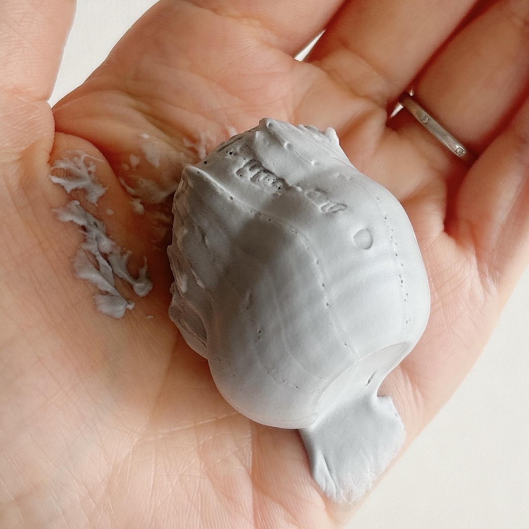 ディズム クリーミーフォームウォッシュ ブラック/DISM/泡洗顔を使ったクチコミ（2枚目）