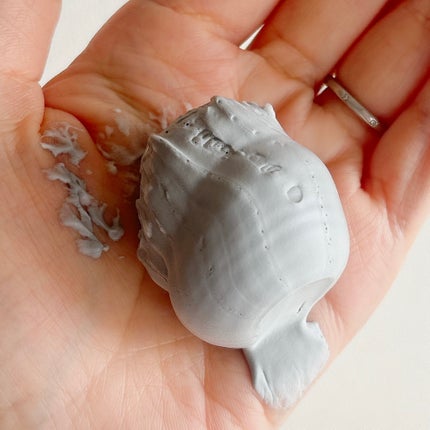 ディズム クリーミーフォームウォッシュ ブラック/DISM/泡洗顔を使ったクチコミ(2枚目)