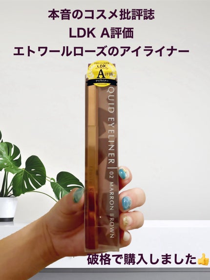 エトワルローズ アイライナーN/Étoile Rose/リキッドアイライナーを使ったクチコミ(1枚目)