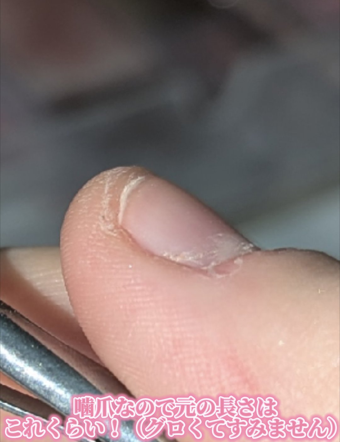 ネイルチップ/SHEIN/ネイルチップ・パーツを使ったクチコミ（2枚目）