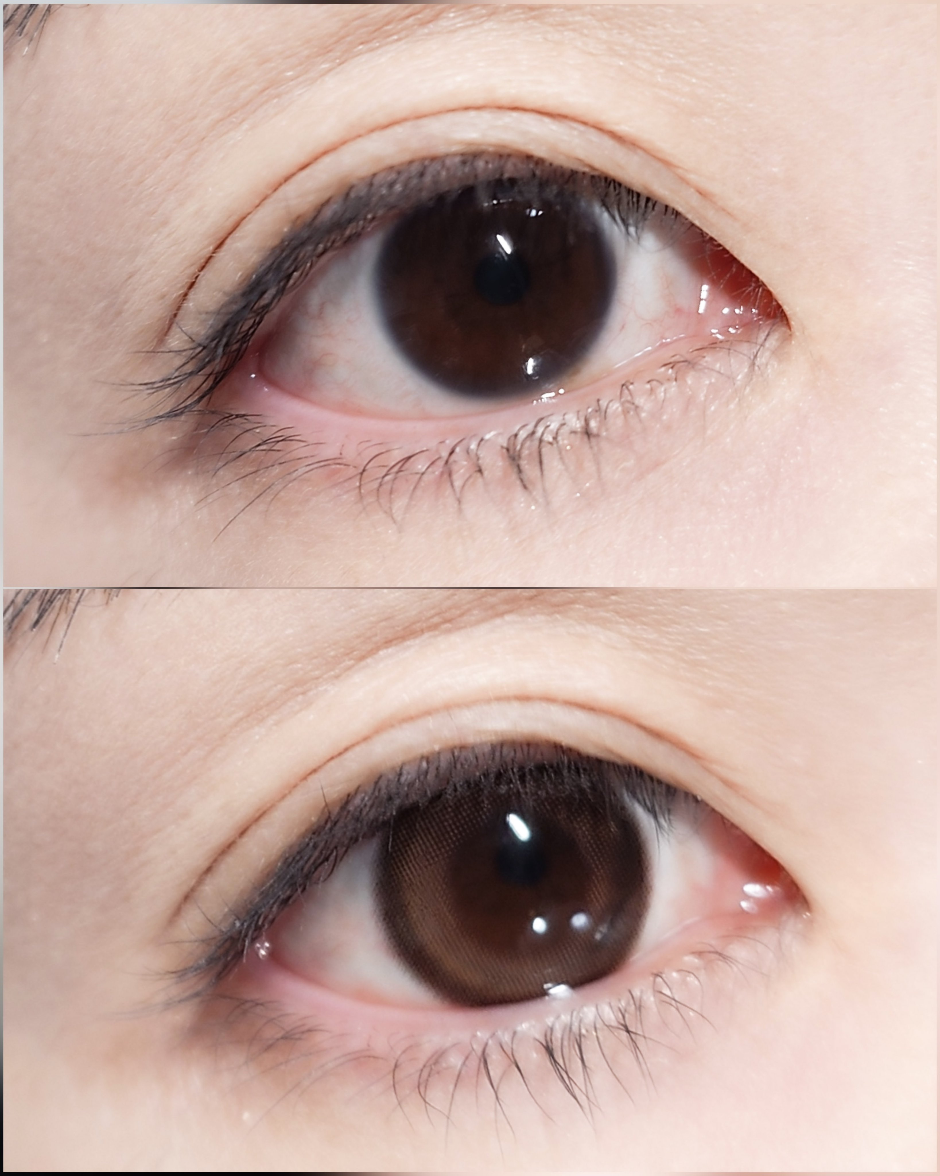 エバーカラーワンデー ナチュラル/エバーカラー/ワンデー（１DAY）カラコンを使ったクチコミ（2枚目）