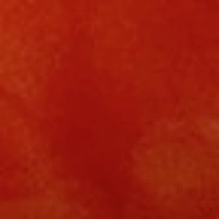 ジューシーベリープランピングリップオイル/TOCOBO/リップグロスを使ったクチコミ(7枚目)