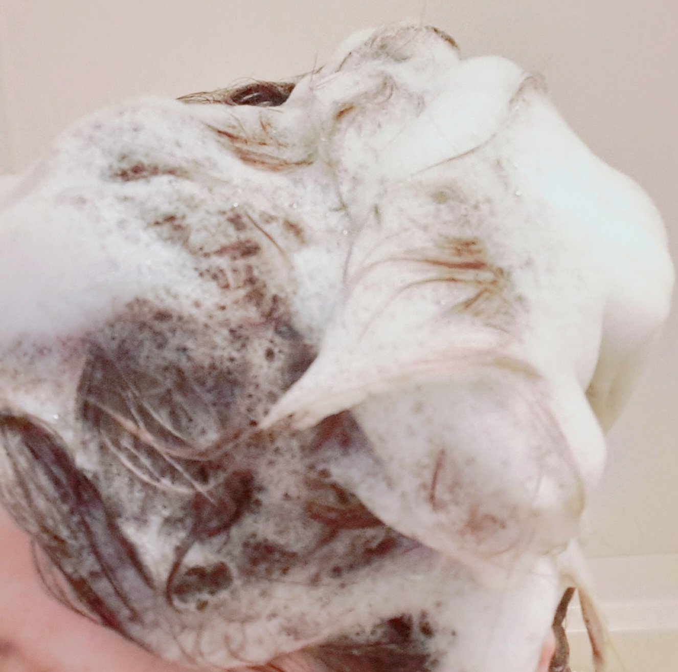 THE PREMIUM エクストラダメージケアシャンプー／トリートメント（シャイニーモイスト）/いち髪/市販シャンプーを使ったクチコミ（3枚目）