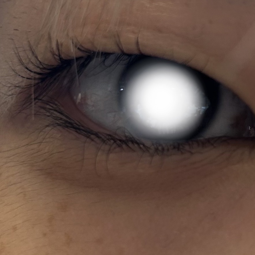 アイ ライナー ペンシル くり出し式 20 ラテブラウン/ちふれ/ペンシルアイライナーを使ったクチコミ（3枚目）